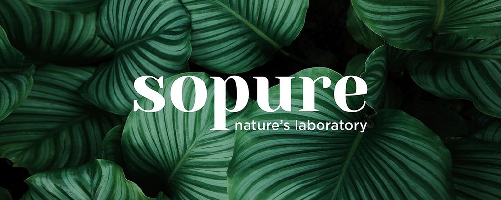 SoPure Cover Image